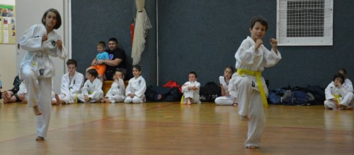 Osnovne tehnike Taekwon-Do-ja in 1. forma Chon-Ji