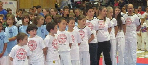 Uspešen nastop na AHAC OPEN 2015