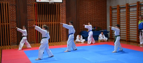 Veliko udeležencev Taekwon-Do-ja na Radovljica otrokom 2016