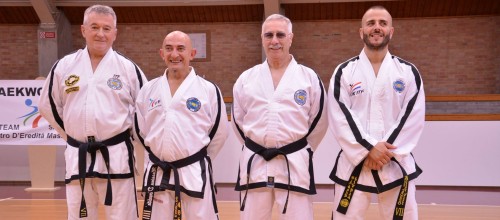 Taekwon-Do ITF seminar v San Daniele del Friuli, Italija