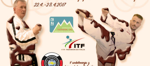 Taekwon-Do Chocolate Weekend 2017 v Radovljici