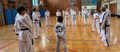 Prijateljski trening