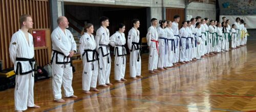 Skupen trening s TKD AHAC